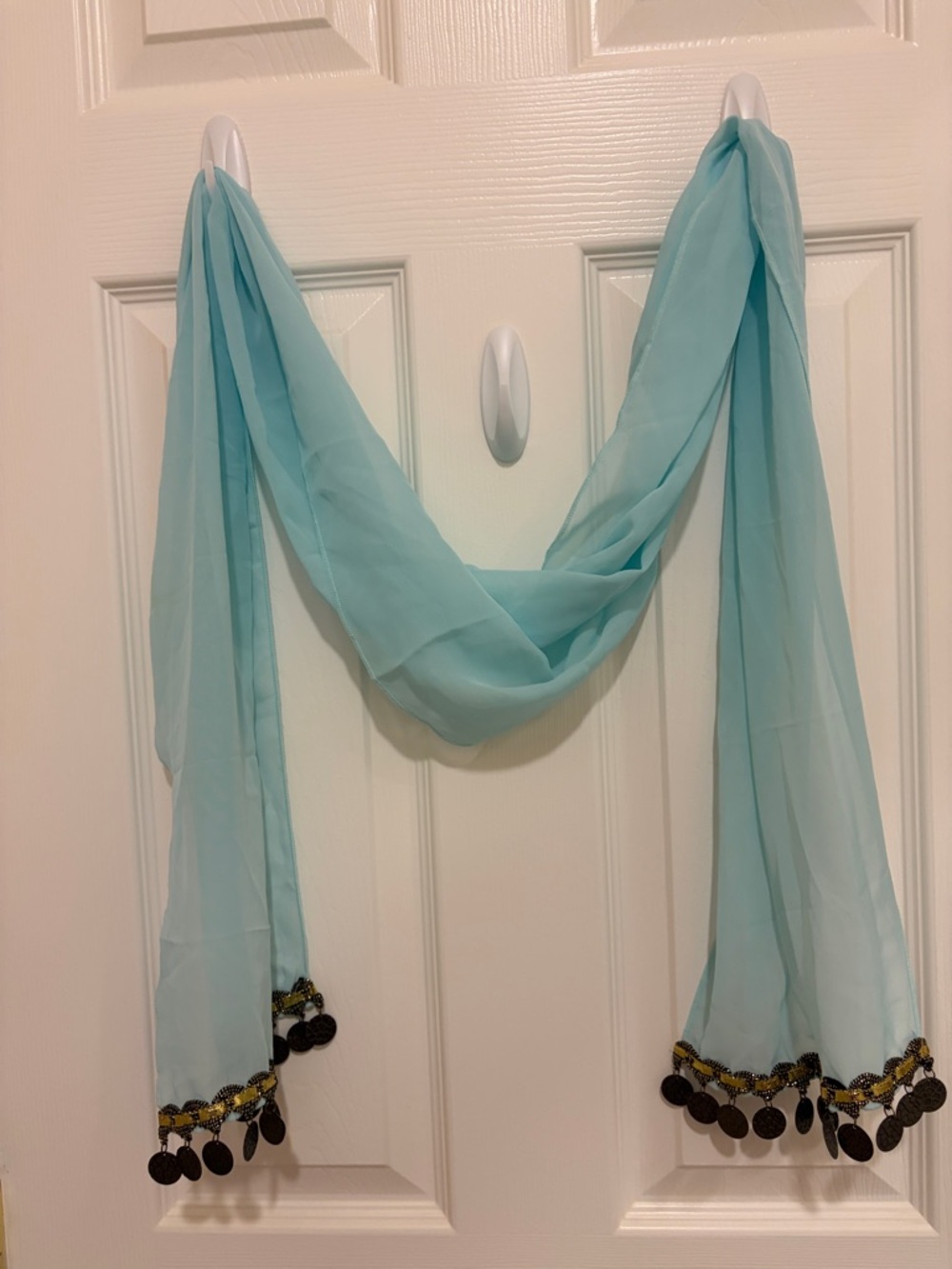 Light Aqua Sheer Scarf with Coin Trim